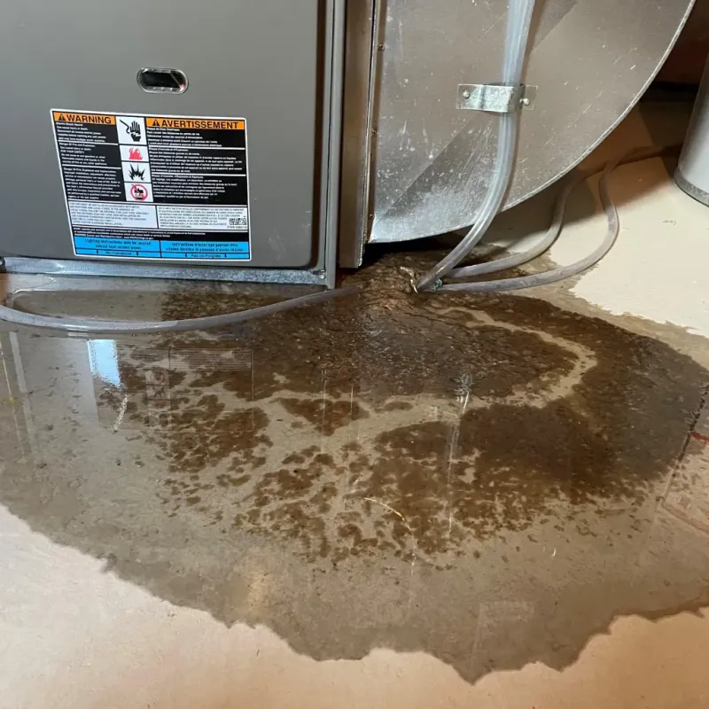 Appliance Leak Cleanup in Raton, NM